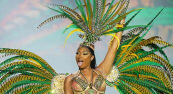 Megan Thee Stallion cria site com lista de serviços para auxiliar saúde mental | Pop & Arte