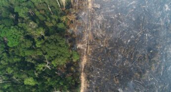 Governo proíbe uso do fogo por 120 dias