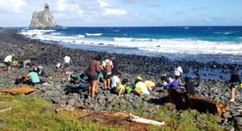 Cleanup Day: Fernando de Noronha participa de ação mundial de limpeza de praias | Viver Noronha