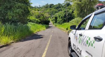 Em um ano, Polícia Ambiental contabiliza mais de R$ 4,5 milhões em multas por danos à flora na região de Presidente Prudente | Presidente Prudente e Região