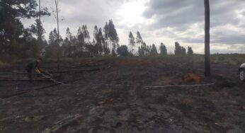 Incêndio em fazenda atinge vegetação em área de reserva legal e acarreta multas de mais de R$ 250 mil em Marabá Paulista | Presidente Prudente e Região