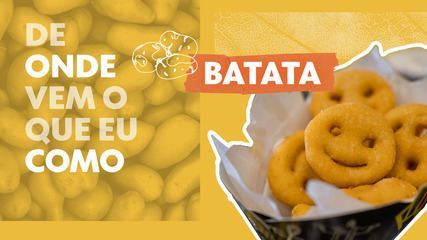 De onde vem: batata 'dorme' por meses e só suas netas vão para os mercados