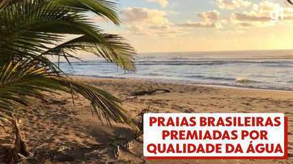 Praias brasileiras são premiadas por qualidade da água