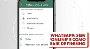 Usuários comemoram chegada de recurso do WhatsApp que permite esconder ‘online’ | Tecnologia