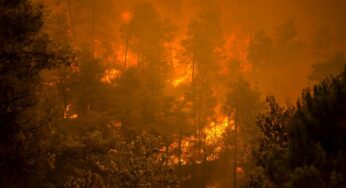 ONU: compromissos climáticos estão muito longe de cumprir a meta de 1,5°C