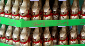Apoiando Lindt, tribunal suíço ordena que Lidl ‘destrua’ seus coelhinhos de chocolate