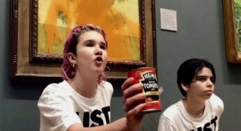 Ativistas que jogaram sopa de tomate em tela de Van Gogh são liberadas | Mundo