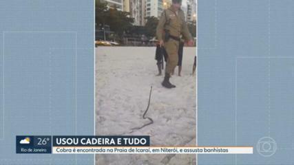 Cobra aparece na Praia de Icaraí, em Niterói