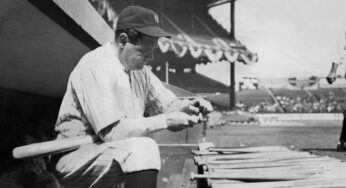 Como o Emerald Ash Borer tirou Ash Bats da Major League Baseball