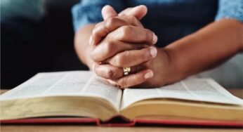 De padre pró-armas a cardeal ambientalista: como eleição divide a Igreja Católica | Política