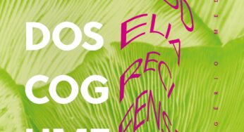 Livro ‘Valsa dos cogumelos’ expõe toda as cores e nomes da cena psicodélica do Recife nos anos 1970 | Blog do Mauro Ferreira