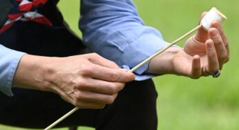 O objetivo dos marshmallows extragrandes? Um tribunal do Reino Unido pesa
