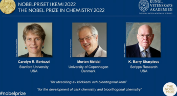 Prêmio Nobel de Química é concedido a 3 cientistas pelo trabalho ‘juntando moléculas’