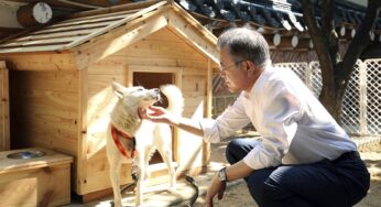 Como cães dados por Kim Jong-un criaram disputa entre atual e ex-presidente na Coreia do Sul