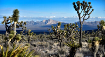 Biden promete proteção para Spirit Mountain em Nevada