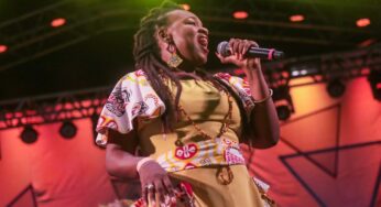 Ilê Aiyê manifesta orgulho negro ao cantar antigas e novas músicas em show no festival Radioca | Blog do Mauro Ferreira