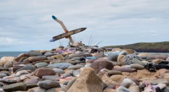 Túmulo de Dobby pode ficar em uma praia no País de Gales, mas por favor, pare de lhe dar meias