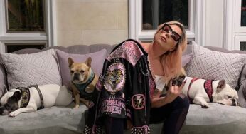 Homem que roubou cachorros de Lady Gaga e atirou em cuidador é condenado a 21 anos de prisão