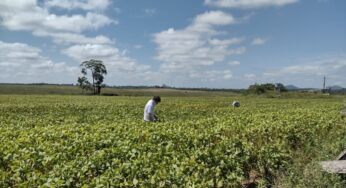 O que muda com o projeto de lei que permite produtores rurais fiscalizarem as suas próprias fazendas