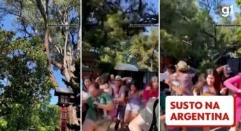 VÍDEO: Galho de árvore cai e deixa duas pessoas feridas em parque na Argentina
