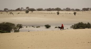27 migrantes morrem de sede tentando cruzar o deserto do Chade | Mundo