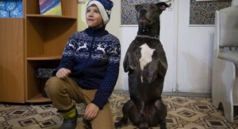 Bice, o pitbull que ajuda crianças a lidarem com traumas da guerra na Ucrânia | Ucrânia e Rússia