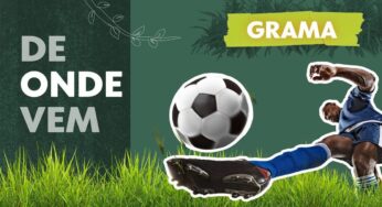 De onde vem a grama: da fazenda ao Morumbi, g1 revela cuidados para se ter os melhores ‘tapetes’ do futebol | Agro de gente pra gente