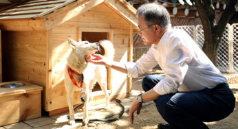 Dois cachorros, dois presidentes e uma história de ataques políticos em Seul