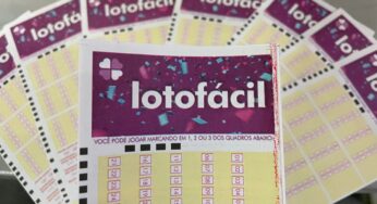 Lotofácil: entenda como funciona e como apostar
