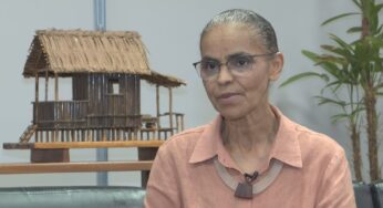 Marina Silva diz que recorde de alertas de desmatamento é fruto de ‘incentivo’ à destruição | Política