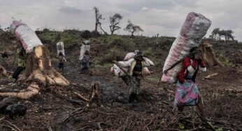 Papa Francisco visita o Congo: o que saber