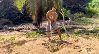 Começa temporada de reprodução das tartarugas em Fernando de Noronha