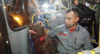 Bombeiros, médicos e cães farejadores de SP embarcam para a Turquia para ajudar no resgate de vítimas do terremoto