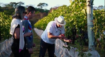 Conheça os agricultores que se uniram para fundar uma vinícola do Cerrado; reveja reportagem | Globo Rural