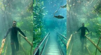 Fenômeno raro: fotógrafo ‘anda’ em trilha submersa por rio de água cristalina em MS; veja vídeo | Mato Grosso do Sul