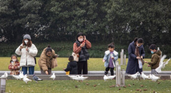 Seu briefing de segunda-feira: a corrida da China para incentivar nascimentos