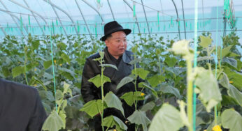 Para combater a escassez de alimentos, a Coreia do Norte destaca as Forças Armadas