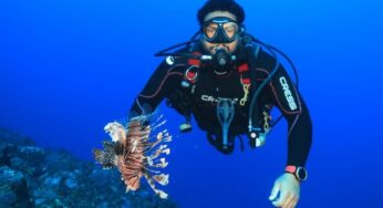 Operação especial captura 24 peixes-leão em Fernando de Noronha