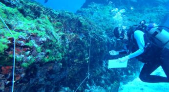 Pesquisa analisa fundo do mar em Fernando de Noronha para identificar causas de mudanças em espécies