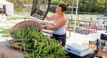 É maio em Roma: um tempo para reverenciar e temer, favas