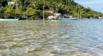 Praia de SC é única praia brasileira a receber o título de ‘Reserva Mundial de Surfe’; entenda | Santa Catarina