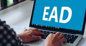 Ministério da Educação oferece cerca de 200 cursos gratuitos com certificado