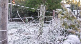 Por que faz frio no inverno? Teste seus conhecimentos e veja se sabe mais do que um aluno do 5º ano