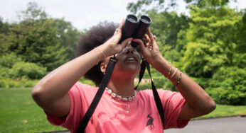 Alli Smith, do Cornell Ornithology Laboratory, oferece dicas para iniciantes para explorar o vasto mundo dos pássaros.