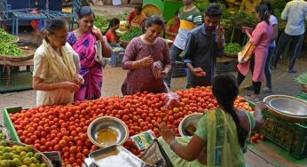 A Índia sofre com a escassez de tomates, um alimento básico