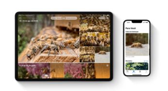 Apple vai apagar fotos de pasta temporária na nuvem; veja como proteger os arquivos | Tecnologia