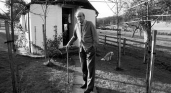 Museu Roald Dahl chama o racismo do autor de ‘inegável e indelével’