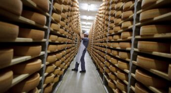 Por que a Suíça – de todos os lugares – importa tanto queijo?