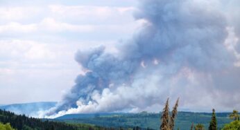 Up in Smoke: a temporada de verão ao ar livre do Canadá
