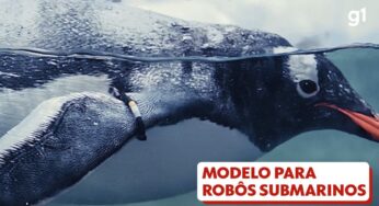 Pinguins viram modelo para desenvolvimento de robôs submarinos na China; VÍDEO